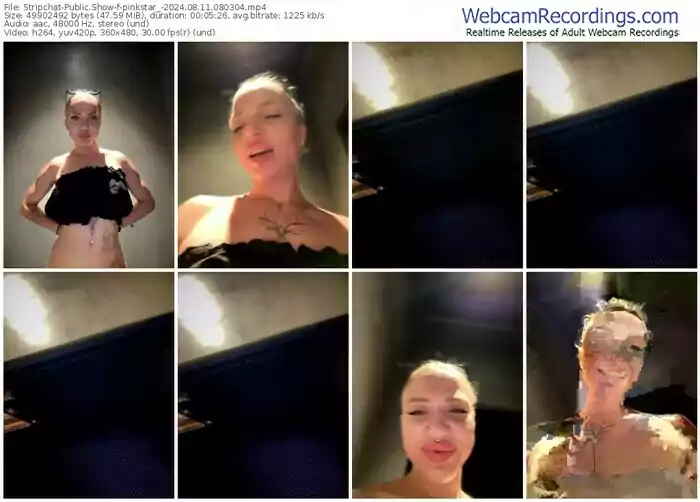stripchat-pinkstar_-08-11-2024-08-03-04