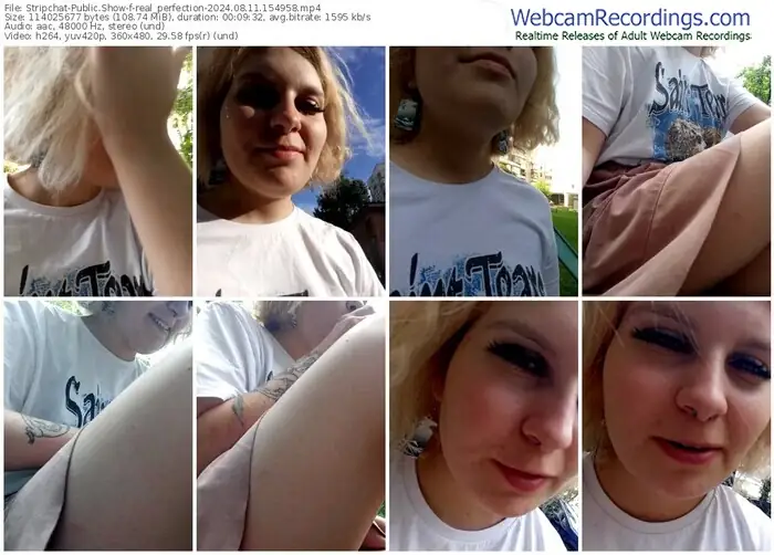 stripchat-real_perfection-08-11-2024-15-49-58