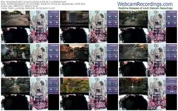 stripchat-z23002-08-11-2024-15-04-46