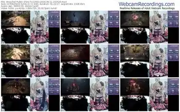 stripchat-z23002-08-11-2024-16-25-25