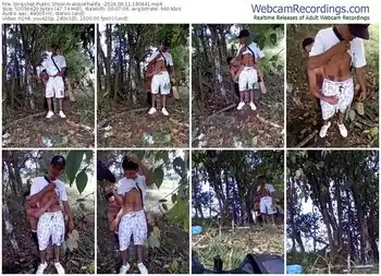 stripchat-alejokhalifa_-08-11-2024-18-04-41