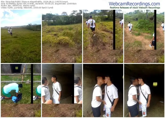 stripchat-alejokhalifa_-08-11-2024-19-57-53