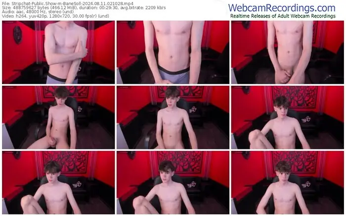 stripchat-banesoll-08-11-2024-02-10-28