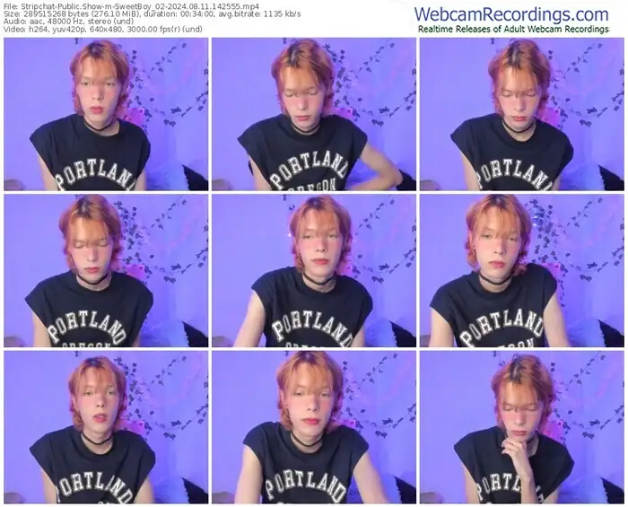 stripchat-sweetboy_02-08-11-2024-14-25-55