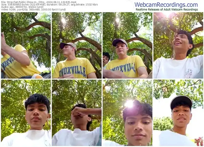 stripchat-_ottis_-08-11-2024-16-18-35