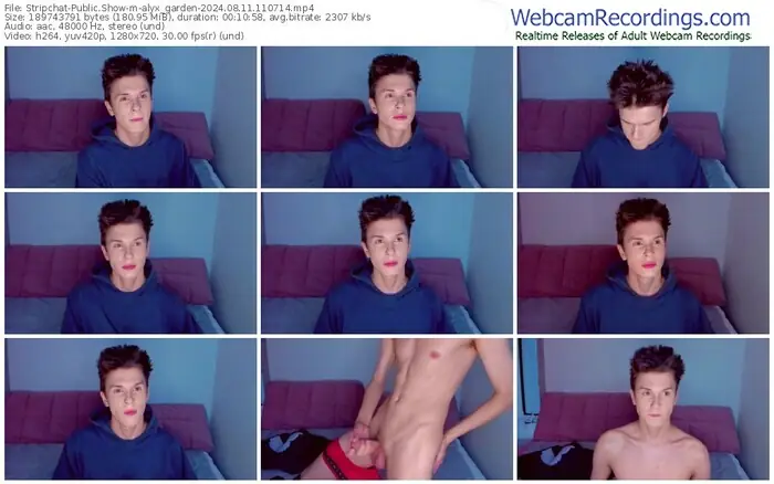 stripchat-alyx_garden-08-11-2024-11-07-14