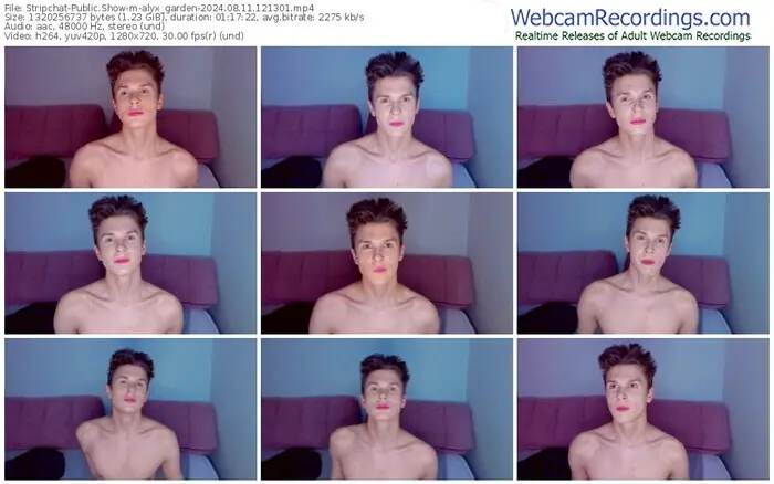 stripchat-alyx_garden-08-11-2024-12-13-01