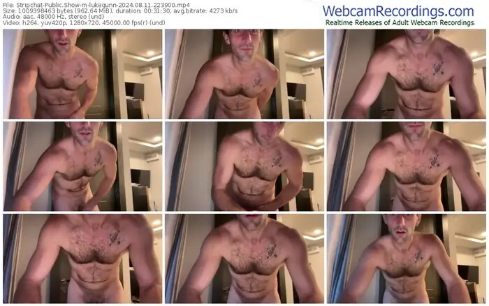 stripchat-lukegunn-08-11-2024-22-39-00