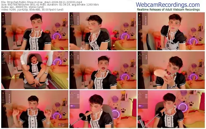 stripchat-max_stev1-08-11-2024-22-33-31