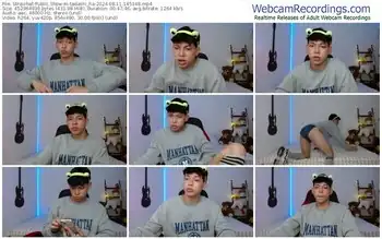 stripchat-tadashi_ha-08-11-2024-14-51-48