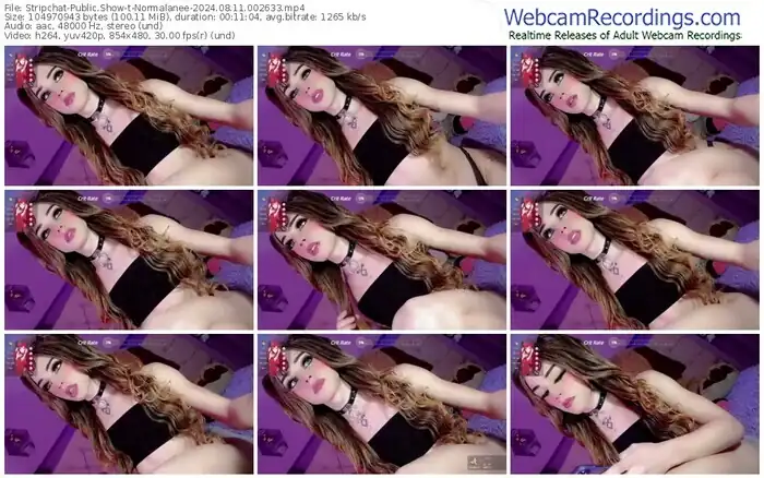 stripchat-normalanee-08-11-2024-00-26-33