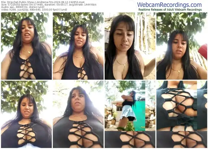 stripchat-andreina-tits-08-12-2024-19-28-53