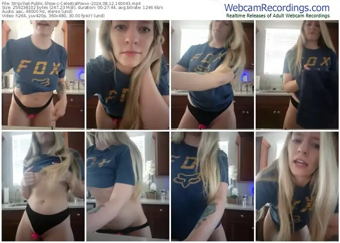 stripchat-celestialfoxxx-08-12-2024-16-00-43