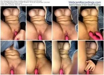 stripchat-garota_japa-08-12-2024-20-29-48