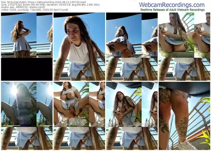 stripchat-tattoogirlalia-08-12-2024-10-57-02