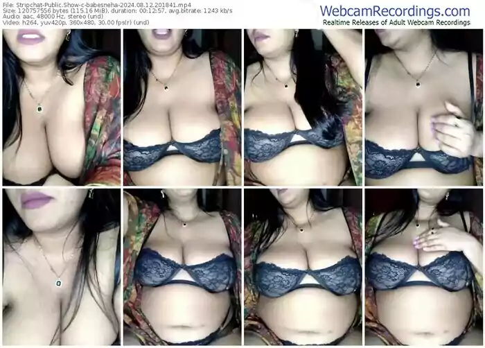 stripchat-babesneha-08-12-2024-20-18-41