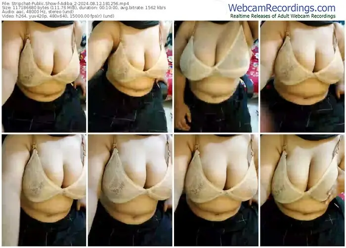 stripchat-adiba_2-08-12-2024-18-12-56