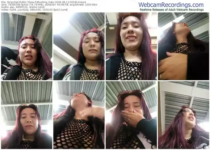 stripchat-blushing_katy-08-12-2024-00-18-14
