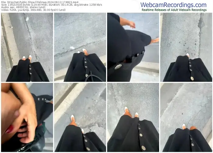 stripchat-felinae-08-12-2024-17-48-23