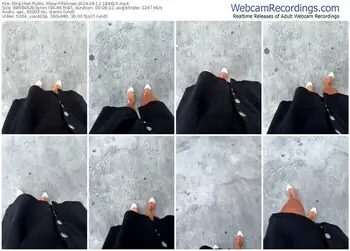 stripchat-felinae-08-12-2024-18-44-16