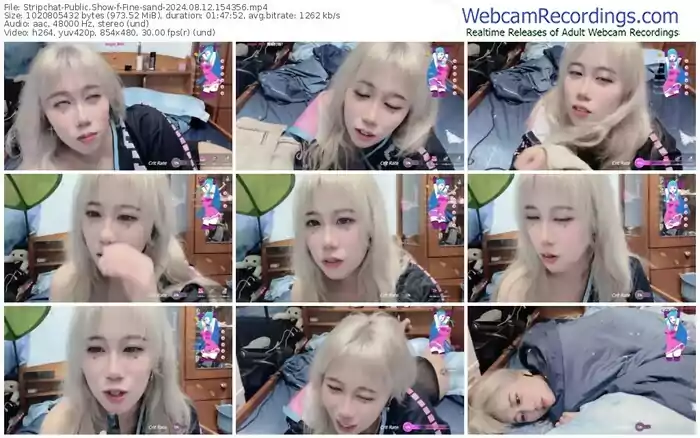 stripchat-fine-sand-08-12-2024-15-43-56