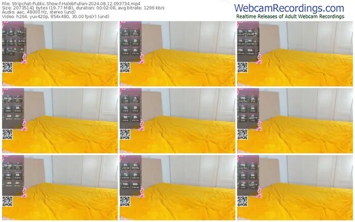 stripchat-halebfullan-08-12-2024-09-37-34