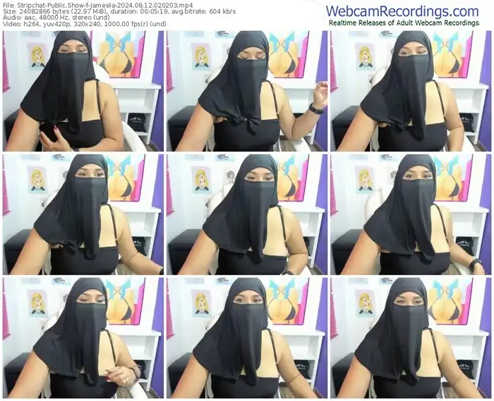 stripchat-jameela-08-12-2024-02-02-03