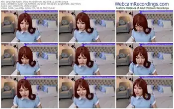 stripchat-lesliefinch-08-12-2024-00-24-44