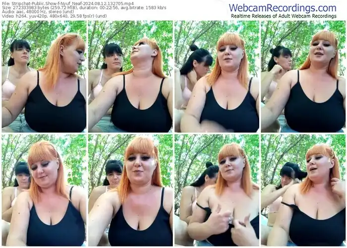 stripchat-nyuf_neaf-08-12-2024-13-27-05