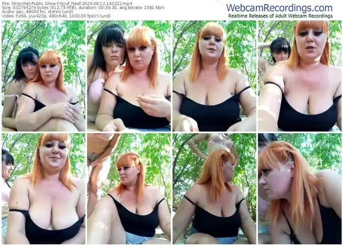 stripchat-nyuf_neaf-08-12-2024-14-02-22