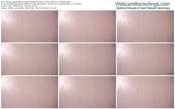 stripchat-sweetykitty1-08-12-2024-17-29-02