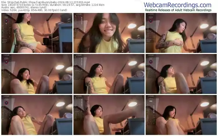 stripchat-aznbunnybaby-08-12-2024-21-53-03