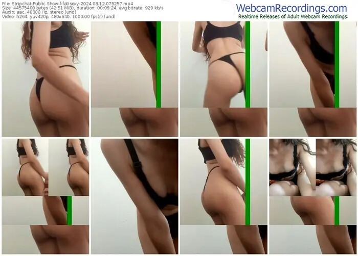 stripchat-fatisexy-08-12-2024-07-52-57
