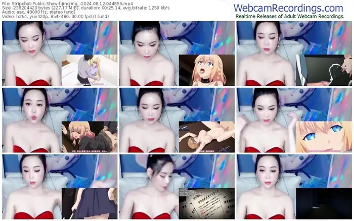 stripchat-jingjing_-08-12-2024-04-48-55