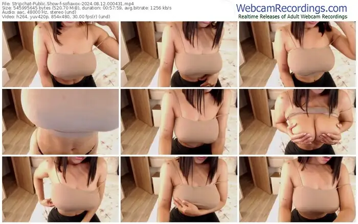 stripchat-sofiaxox-08-12-2024-00-04-31