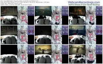 stripchat-z23002-08-12-2024-17-19-41