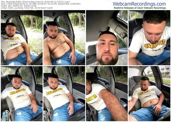 stripchat-big_dominic-08-12-2024-12-22-17