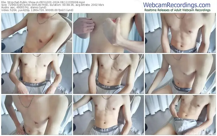 stripchat-feiyu001-08-12-2024-03-50-08