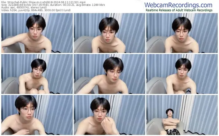 stripchat-liudd918-08-12-2024-12-13-21