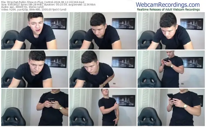 stripchat-plug_control-08-12-2024-16-13-44