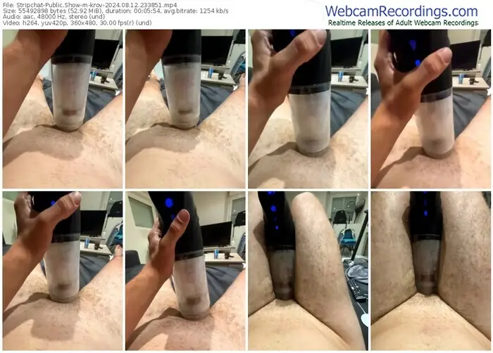 stripchat-krov-08-12-2024-23-38-51