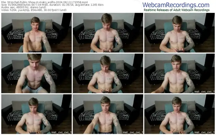 stripchat-maks_wolfis-08-12-2024-17-23-58