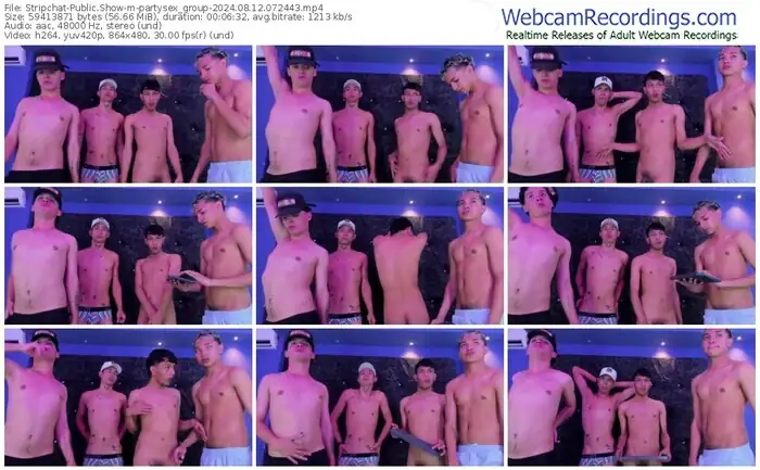 stripchat-partysex_group-08-12-2024-07-24-43