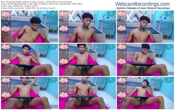 stripchat-sexy_blacks_-08-12-2024-23-41-03