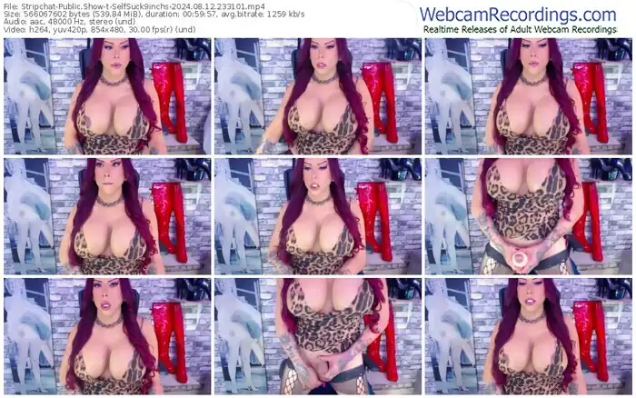 stripchat-selfsuck9inchs-08-12-2024-23-31-01
