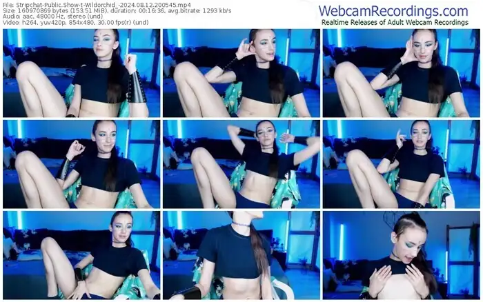 stripchat-wildorchid_-08-12-2024-20-05-45