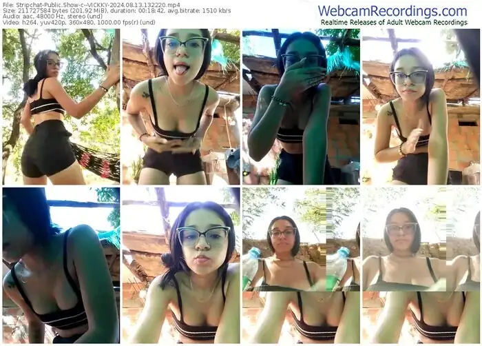 stripchat--vickky-08-13-2024-13-22-20