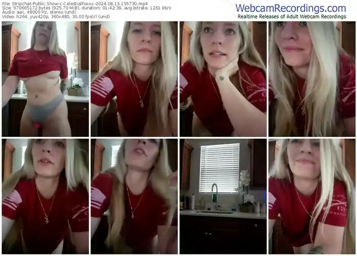 stripchat-celestialfoxxx-08-13-2024-15-57-30