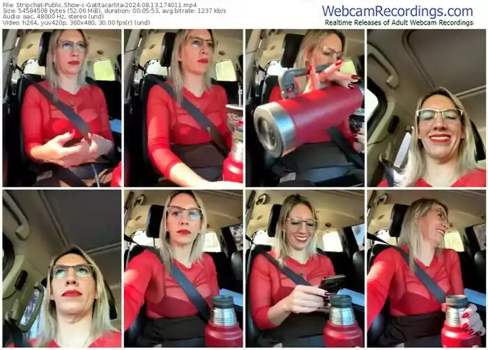 stripchat-gatitacarlita-08-13-2024-17-40-11