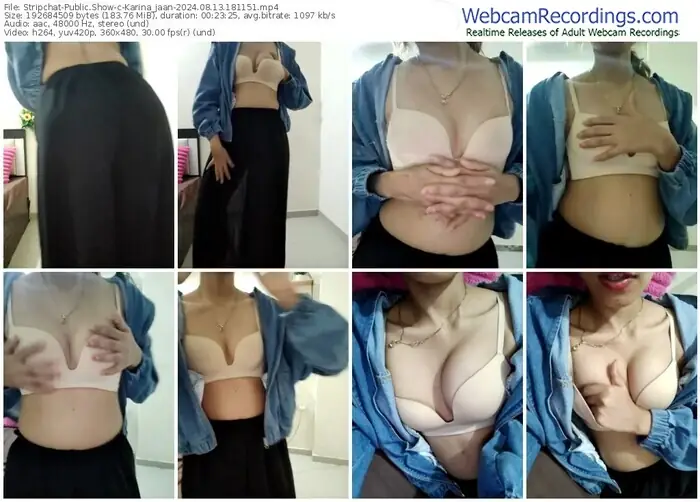 stripchat-karina_jaan-08-13-2024-18-11-51